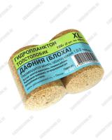 Дафния (Блоха)